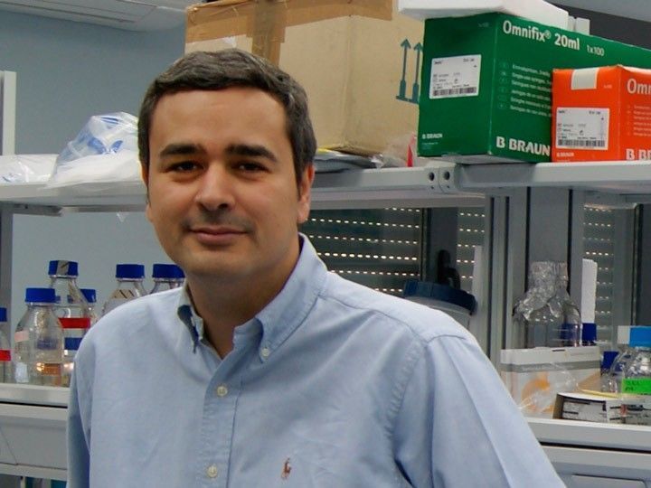 El investigador de la UBU Rodríguez Lázaro dirige ‘Food Analytical Methods’