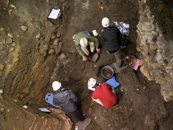 Arsuaga busca los límites del yacimiento de fósiles humanos en Sima de los Huesos