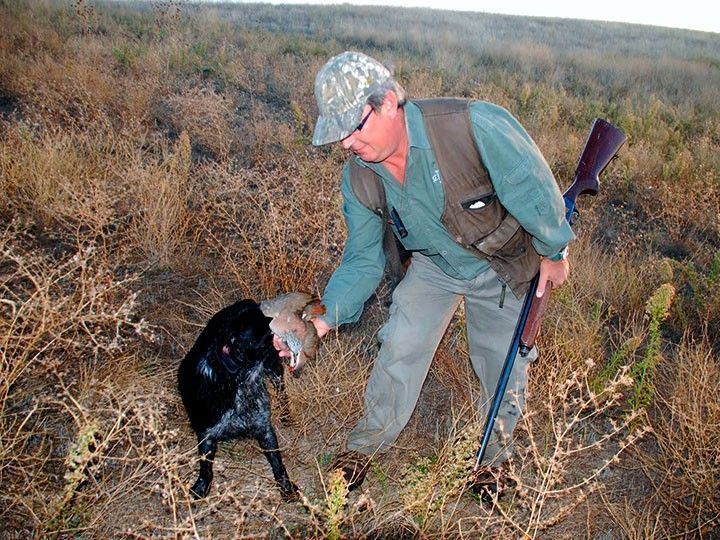 La buena cosecha y la humedad beneficiarán a la Media Veda de caza