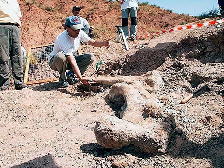 50 ponencias para unas jornadas de Paleontología con la “estrella” Paul Sereno