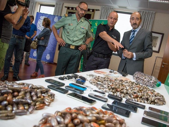 Doce detenidos y quince kilos de hachís incautado en una gran operación antidroga