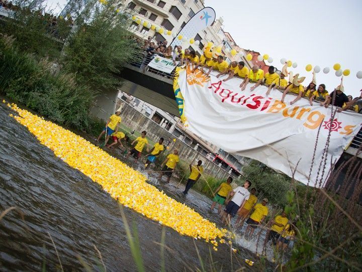 Patitos al agua