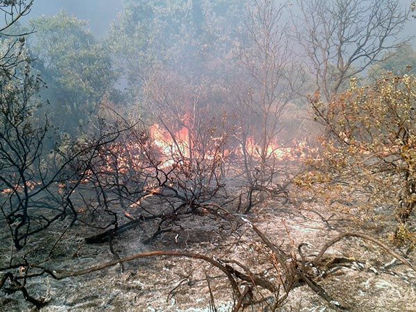 UGT denuncia “desidia” de la Junta en el operativo de incendios en Burgos