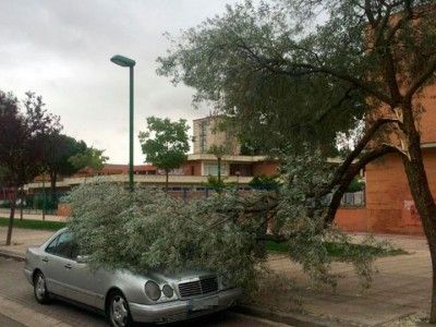 Y otras ramas atacaron a algún vehículo. Policía Local