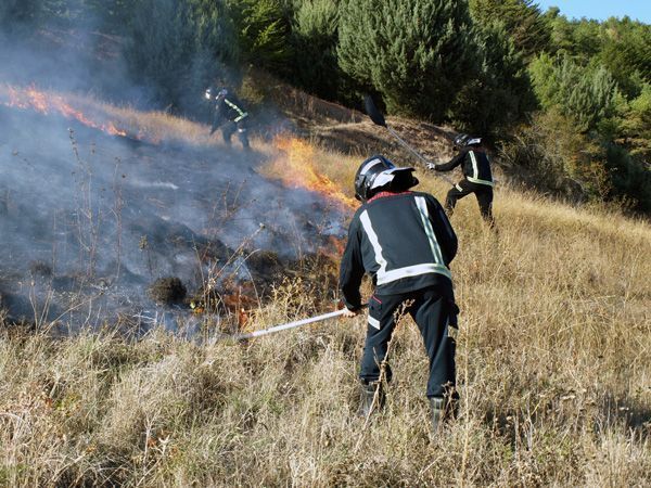 Agricultores califican de “tomadura de pelo” la autorización de quema de rastrojos