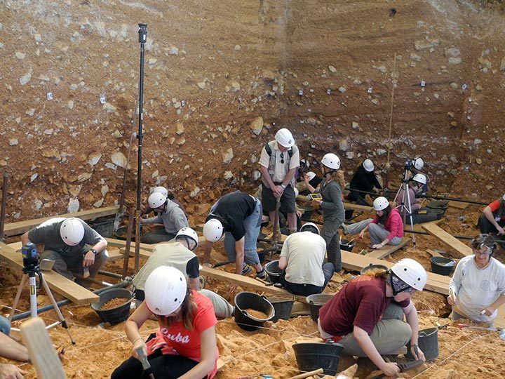 El Homo antecessor de Atapuerca comía alimentos crudos y más duros que sus coetáneos