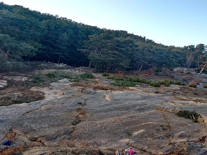 El Frontal 2 desvela 2.000 icnitas de dinosaurio en Regumiel de la Sierra