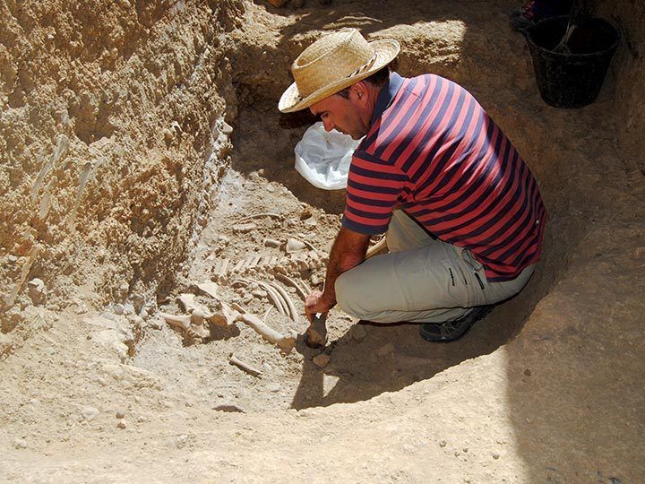 El yacimiento vacceo-romano de ‘La Ciudad’ de Paredes de Nava, protagonista en el MEH