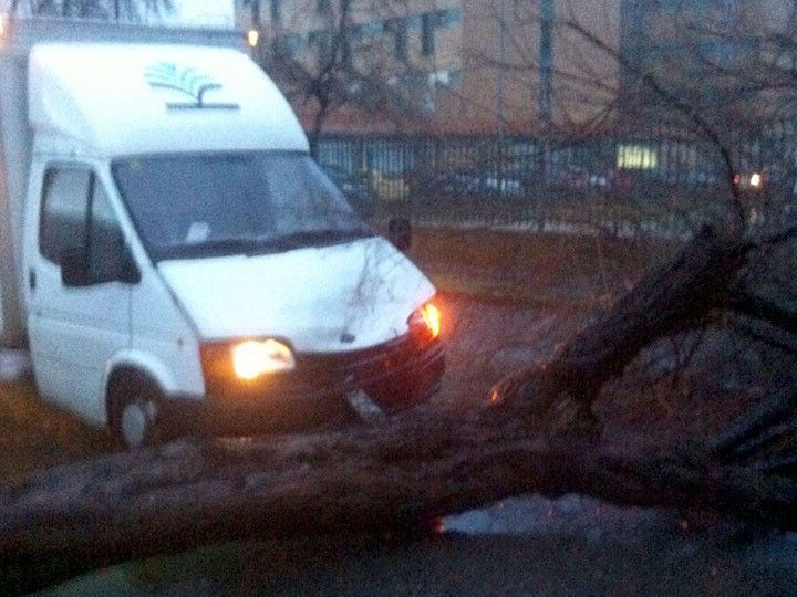 El viento tumba un árbol, provocando el accidente de una furgoneta