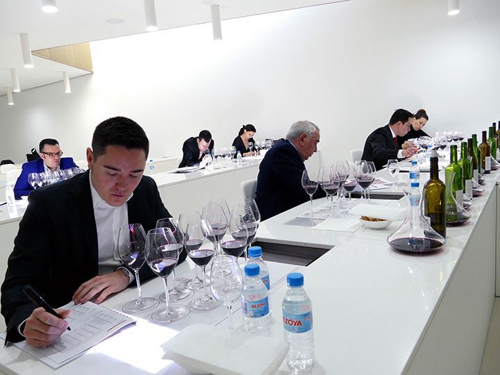 La cosecha 2016 de Ribera del Duero, calificada de ‘Muy Buena’