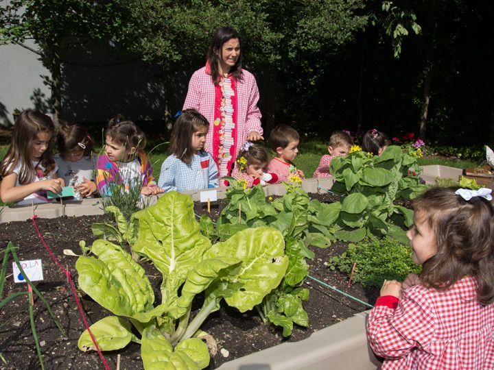 Aprendiendo a cuidar un huerto ecológico desde Educación Infantil