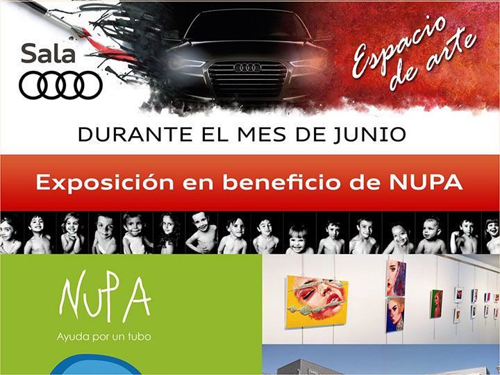 Sala Audi acoge una muestra de artistas burgaleses a favor de la asociación NUPA