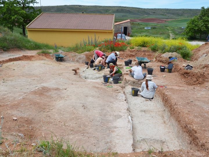 El CENIEH aborda la V Campaña de excavaciones en el yacimiento paleolítico de Ambrona