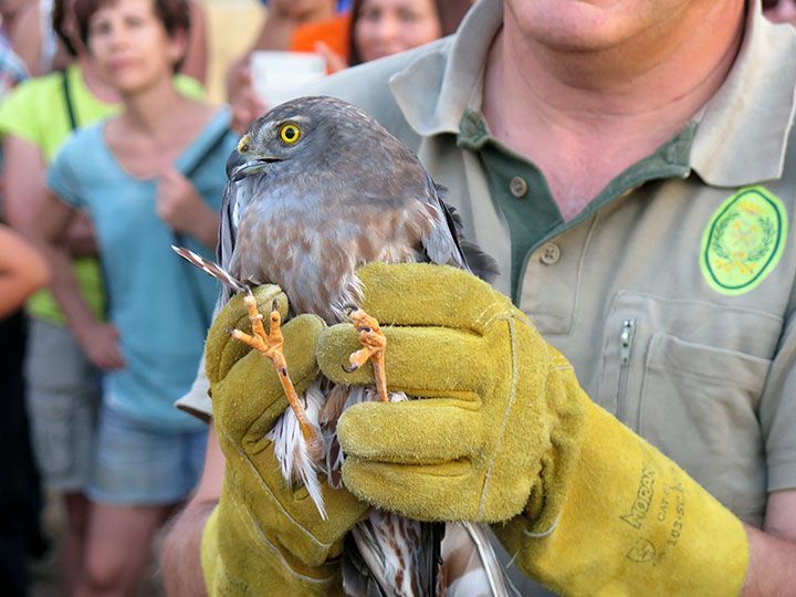 Torrelara acoge el 26 de agosto el X Día del Alfoz Tierra de Lara