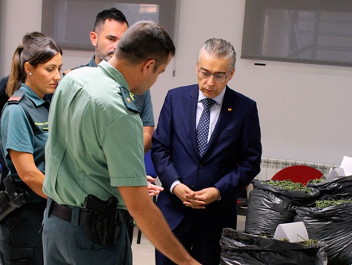 Guardia Civil desmantela un laboratorio ‘indoor’ de marihuana en Odra-Pisuerga