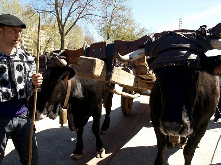 La Cabaña de Carreteros impulsa un centro de interpretación del bosque en Quintanar