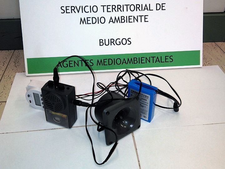 Detectan reclamos electrónicos de codorniz en Robredo Temiño