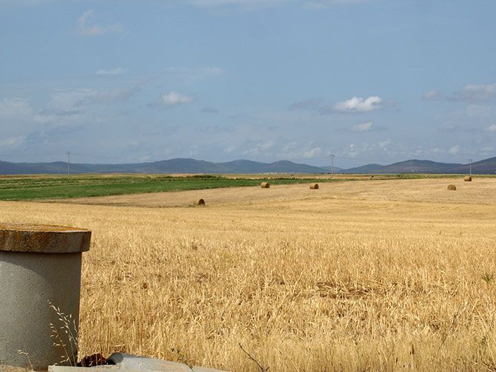 Herrera hace un “llamamiento” a los agricultores para que contraten el seguro