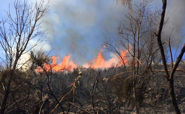 La Junta declara nivel 2 en un incendio forestal en Hoyocasero, en la provincia de Ávila