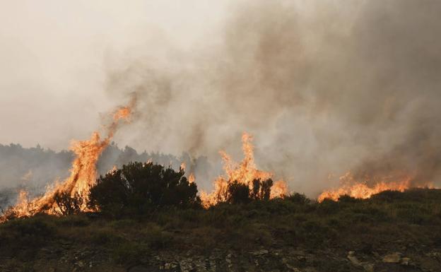 El incendio de La Cabrera baja a nivel 1