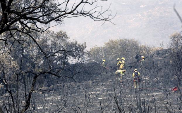 Continúa la lucha contra el fuego de Fermoselle