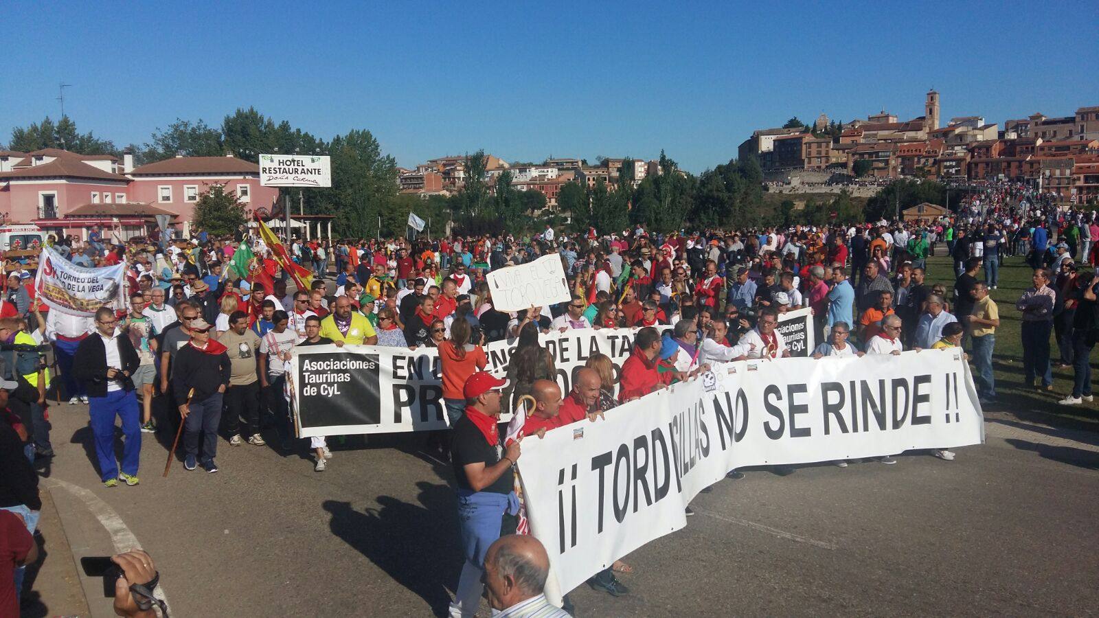 Encierro del Toro de la Vega en Tordesillas