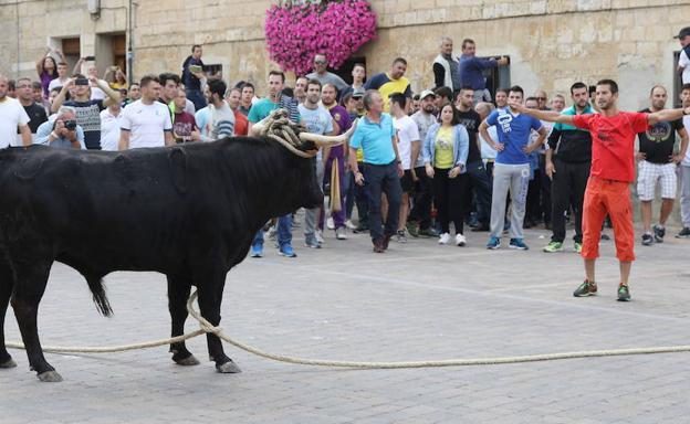 El Supremo no admite los recursos contra la ilegalidad del toro enmaromado de Astudillo