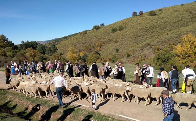 Homenaje a la trashumancia con la despedida de los pastores en Tolbaños