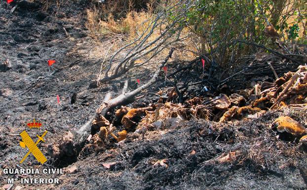 El Seprona identifica al supuesto autor por negligencia de un incendio en Ordejón de Abajo
