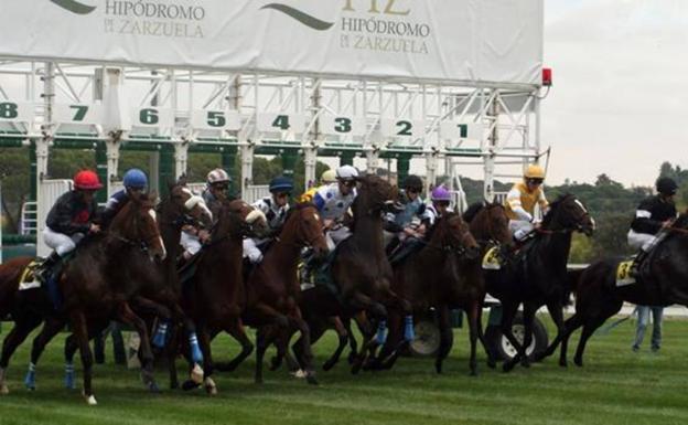 El Hipódromo de la Zarzuela premia con oro en su 76º aniversario