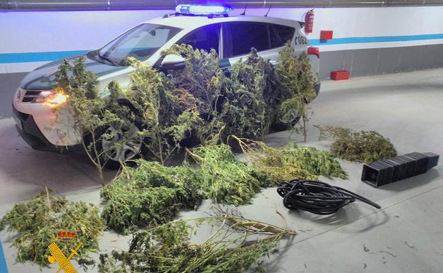 La Guardia Civil interviene 325 kilos de marihuana en los últimos meses