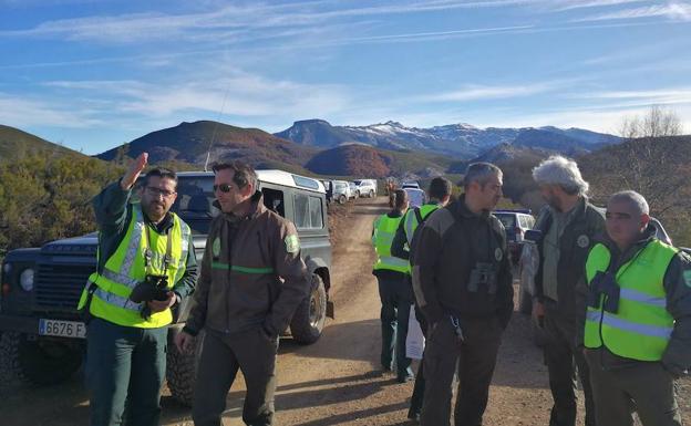 La Fundación Oso Pardo se personará en el caso del oso disparado en Palencia