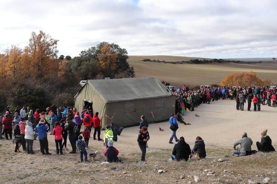 Marcha a pie a los Yacimientos de Atapuerca