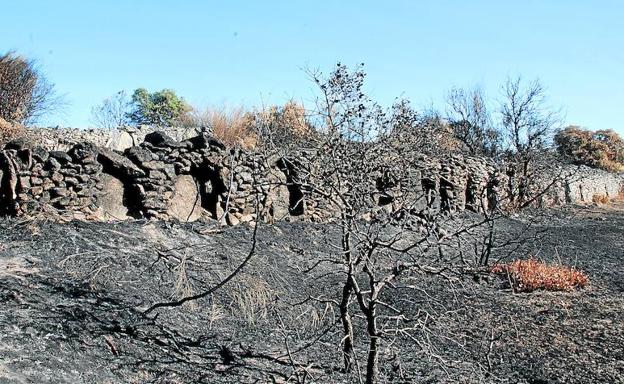 Los ángeles de la guarda del patrimonio en Castilla y León