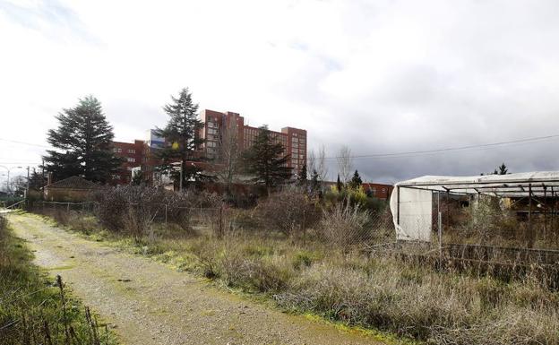 El nuevo aparcamiento del Hospital de Palencia será gratuito de forma provisional