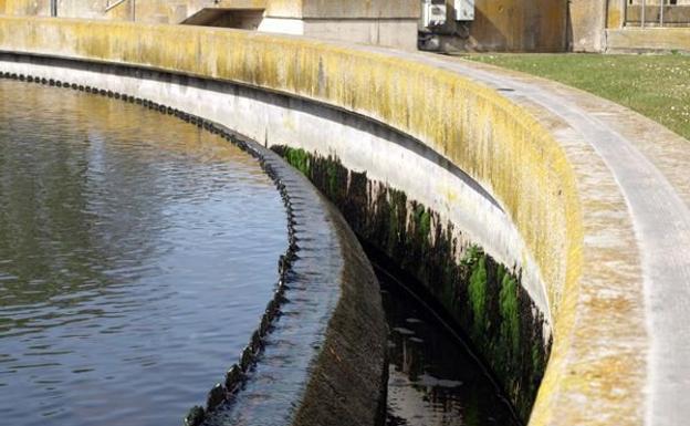 Imagina se «desmarca» de la recusación del informe sobre el ciclo integral del agua de Roa