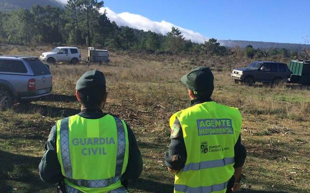 Un millar de firmas en veinte horas contra la supresión del Seprona en Ayllón