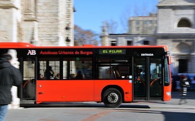 Suspendido el servicio Búho durante Navidad