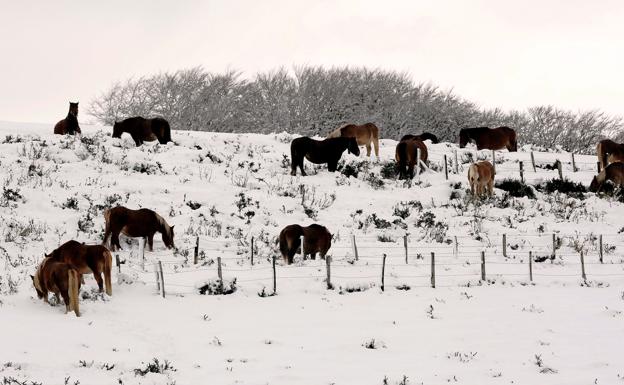 Llega un invierno más cálido de lo normal