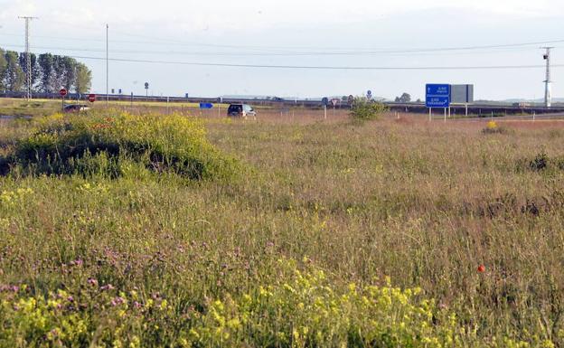 El último informe sobre las fincas de Portillo reactiva la tesis del 'pelotazo' en el caso Perla Negra