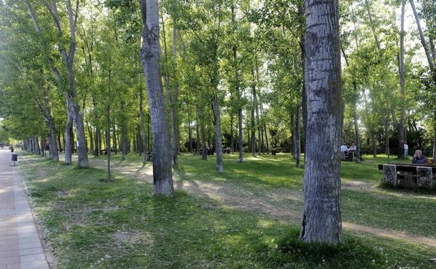 Detenido por masturbarse ante dos chicas menores que hacían deporte en Valladolid