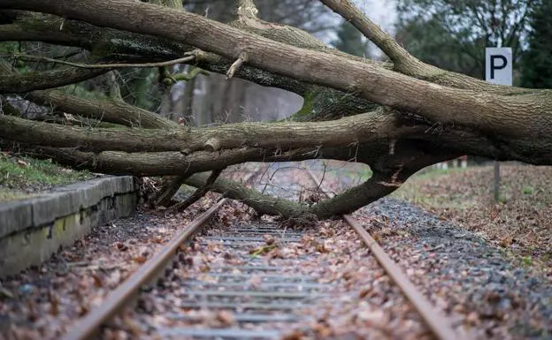 El temporal causa ocho muertos en Europa y paraliza el tráfico ferroviario alemán