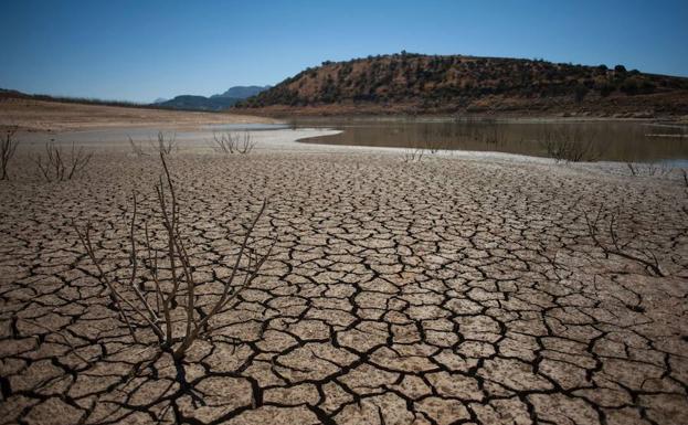 Los tres últimos años fueron los más calurosos jamás registrados