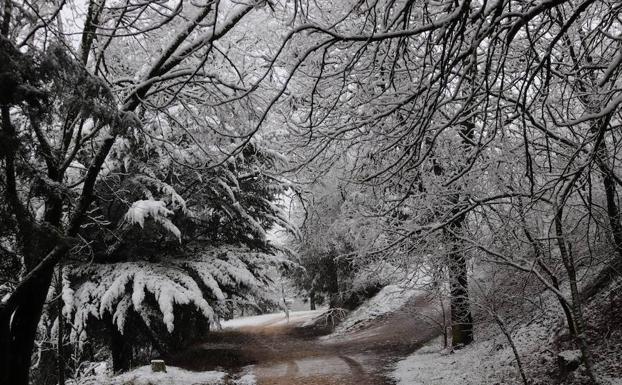 Activada la alerta por nevadas en Castilla y León