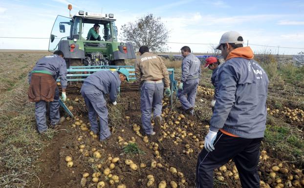 Imagina propone la creación de una mesa del trabajo temporero en la Diputación