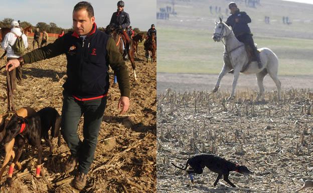 Los lebreles Malú de Villadiezma y Milana de Pachichi luchan por la copa del Nacional de Galgos