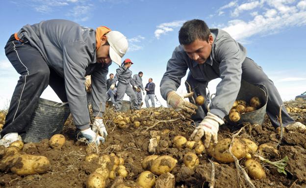 La Diputación elevará a la Mesa del Diálogo Social los problemas de los temporeros
