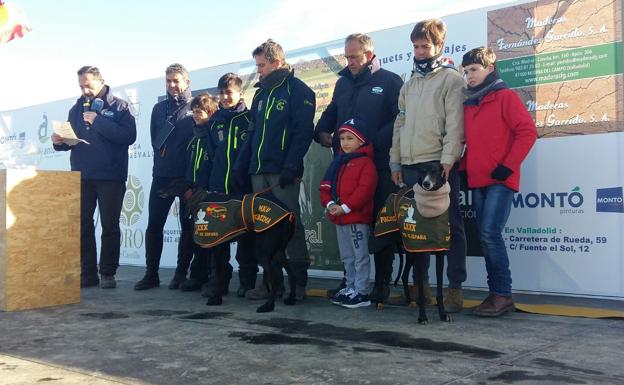 La palentina Malú de Villadiezma, nueva campeona del Nacional de Galgos en campo