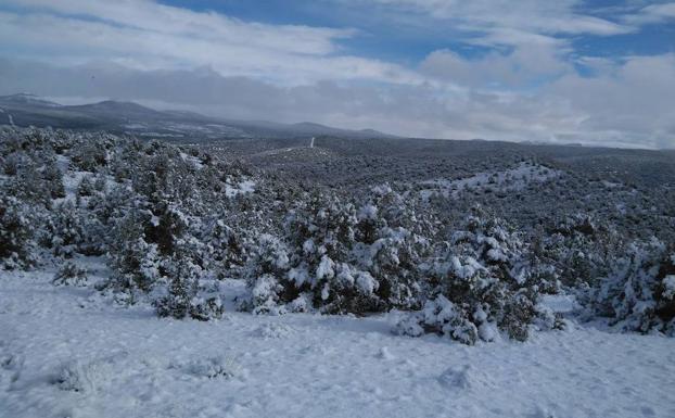 La zona cantábrica de Burgos y Treviño, en alerta por nevadas