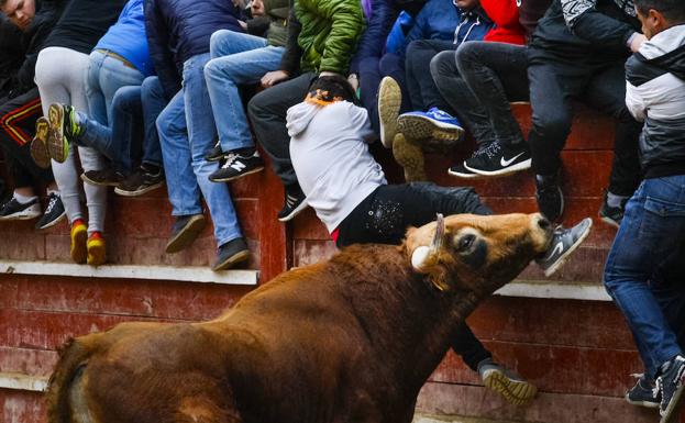 Herido de gravedad un joven de 20 años en la capea de Ciudad Rodrigo